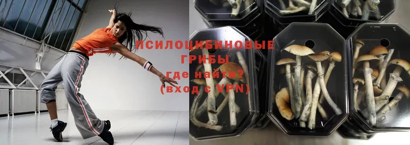 Галлюциногенные грибы мицелий  Игра 